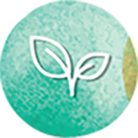 American Friends of Livnot Ulehiba logo